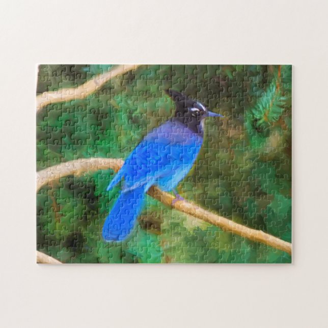Steller's Jay Painting - Original Bird Art Jigsaw Puzzle (Horizontal)
