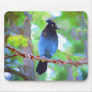 Steller's Jay Painting - Original Bird Art Mouse Mat