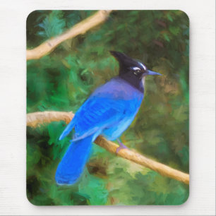 Steller's Jay Painting - Original Bird Art Mouse Mat