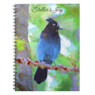 Steller's Jay Painting - Original Bird Art Notebook