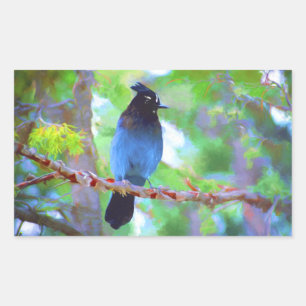 Steller's Jay Painting - Original Bird Art Rectangular Sticker