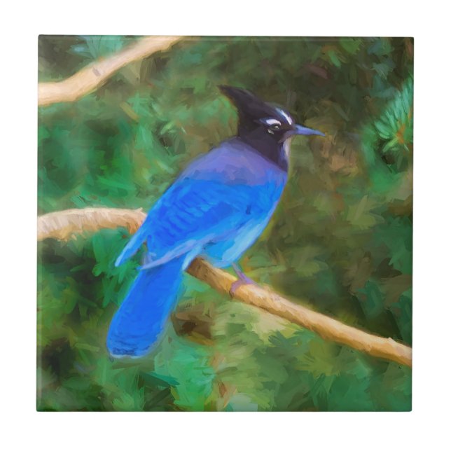 Steller's Jay Painting - Original Bird Art Tile (Front)
