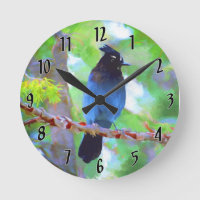 Steller's Jay Painting - Original Wild Bird Art