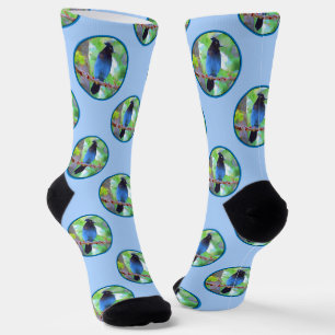 Steller's Jay Painting Original Wild Bird Art Socks