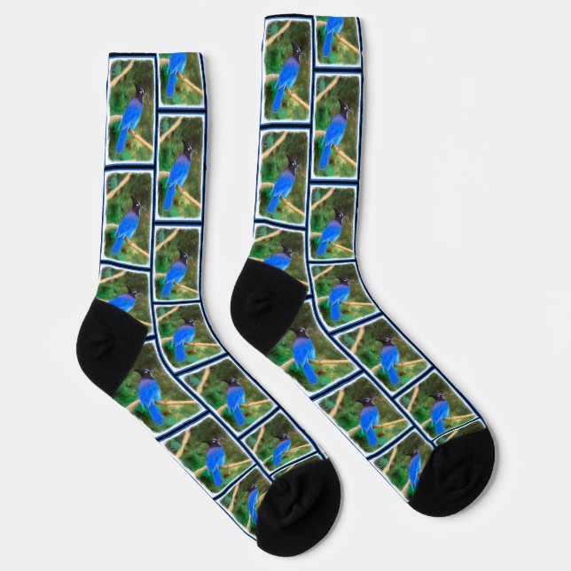 Steller's Jay Painting Original Wild Bird Art Socks (Right)