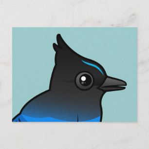 Steller's Jay Postcard