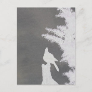 Steller's Jay Silhouette Postcard