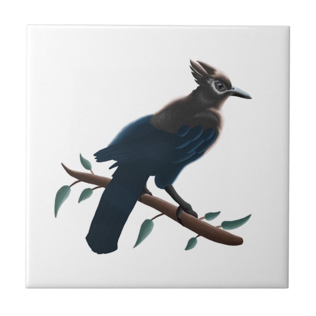 Steller's Jay  Tile (Front)