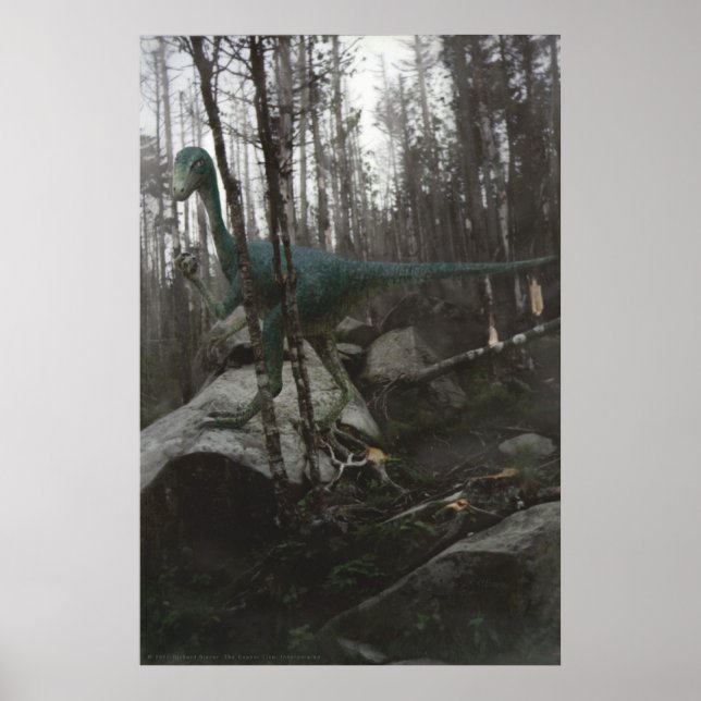 Stenonychosaurus Poster (Front)