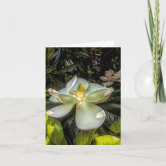 Stenton House Magnolia  Thank You Card