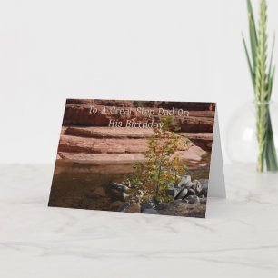 Step Dad Birthday Card