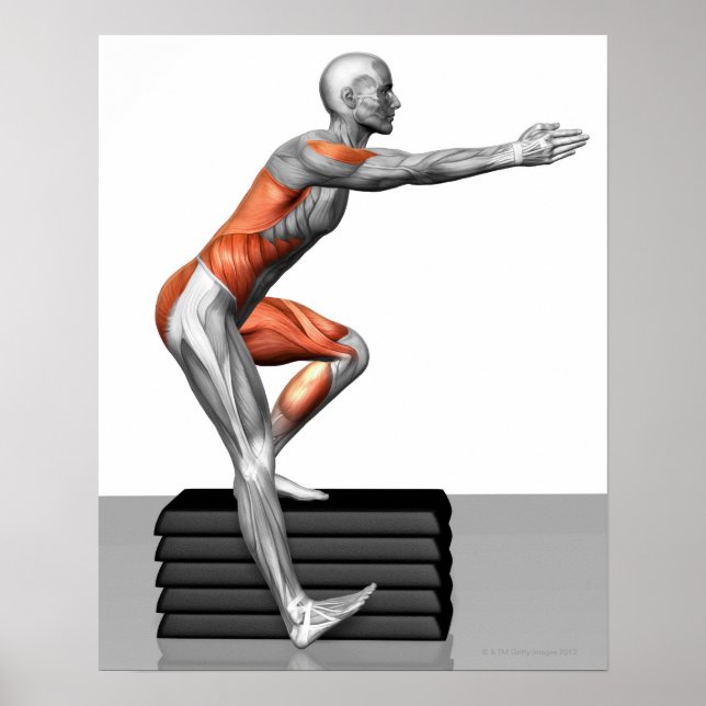 Step-Down Exercises Poster (Front)