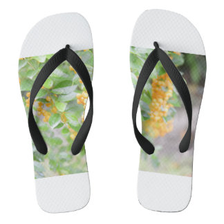Step in Style Flip Flops