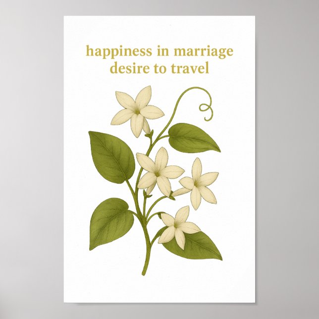 Stephanotis — Happiness in marriage Poster (Front)