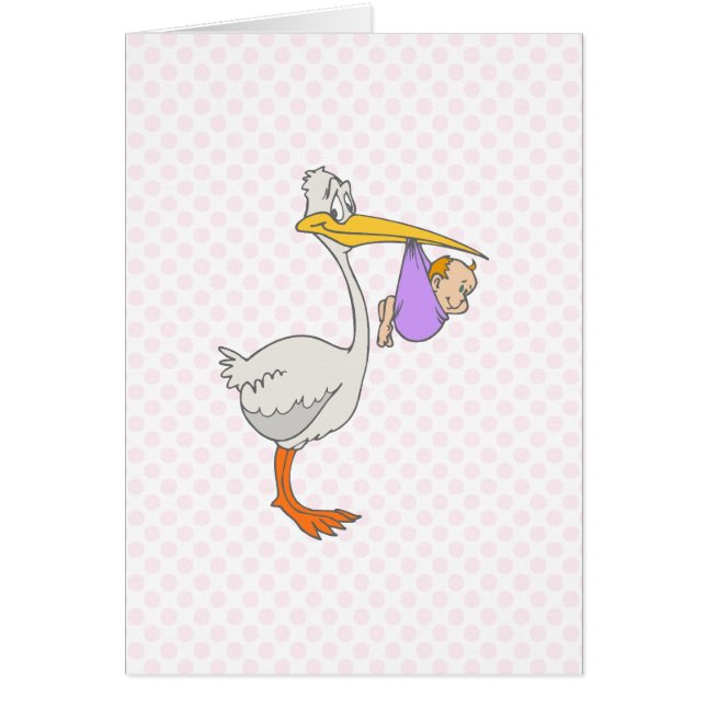 Stephen Stork (Front)