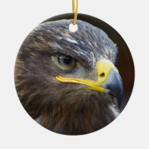 Steppe Eagle Close-Up Portrait Ceramic Tree Decoration