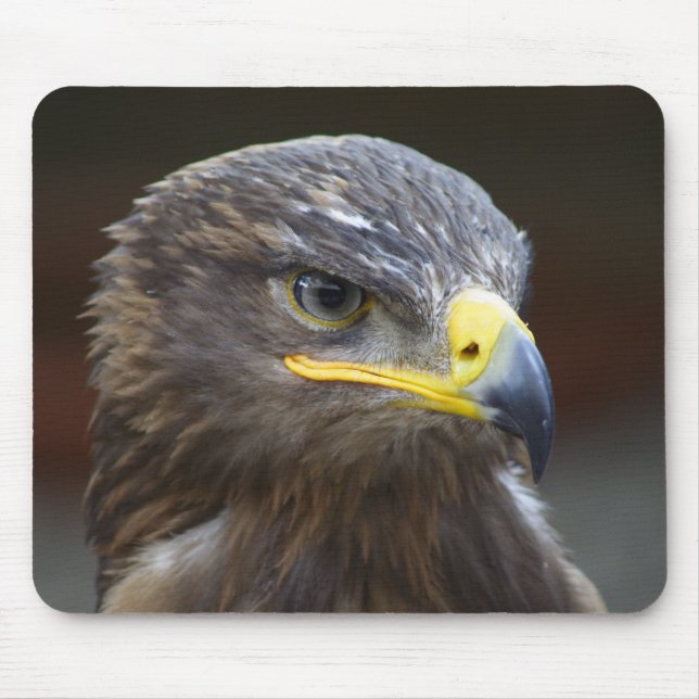 Steppe Eagle Close-Up Portrait Mouse Mat (Front)