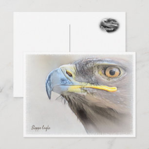 Steppe Eagle Postcard