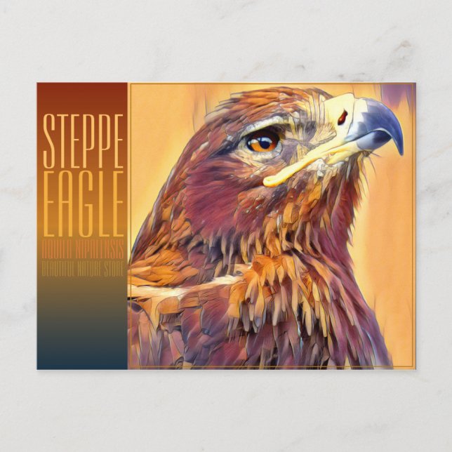 Steppe Eagle [Postcard] Postcard (Front)