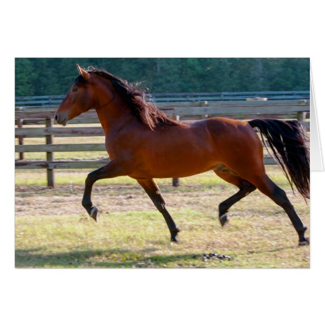 Stepping High (Front Horizontal)