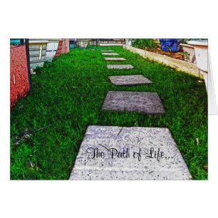 Stepping Stones by Shirley Taylor