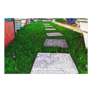 Stepping Stones by Shirley Taylor Photo Print