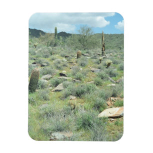 Stepping Stones Decorative Western Photo Magnets