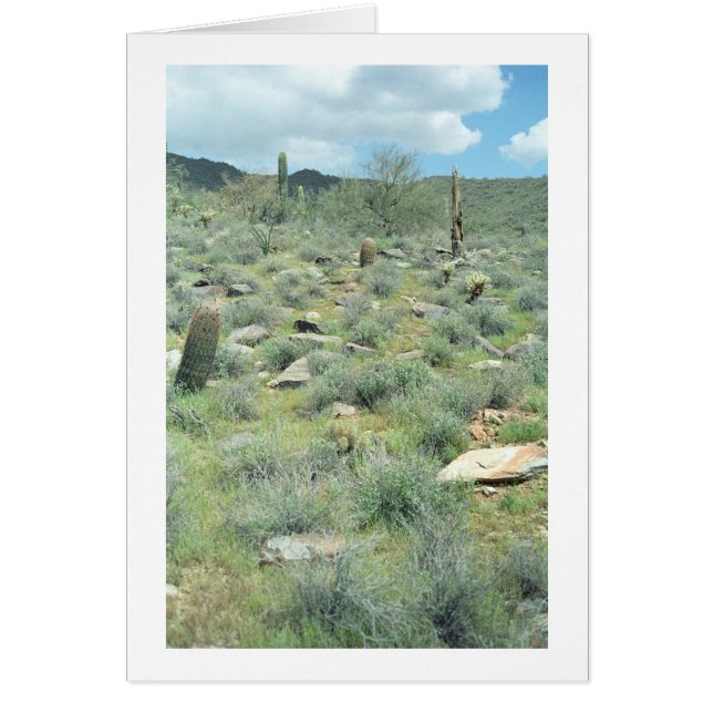 Stepping Stones Desert Greeting Card or Note Card (Front)