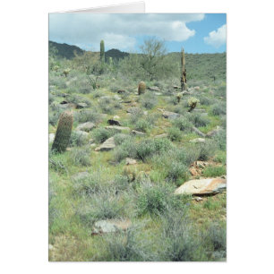 Stepping Stones Desert Greeting Card or Note Card