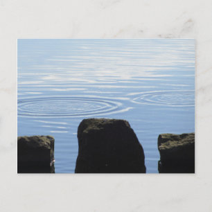 Stepping stones postcard