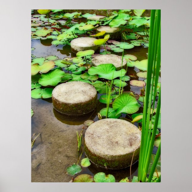 Stepping Stones Poster (Front)