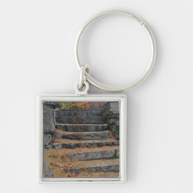 Steps covered in pine needles, White Mountain Key Ring (Front)