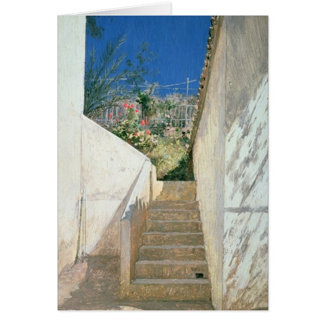 Steps in a Garden, Algeria, 1883 (Front)