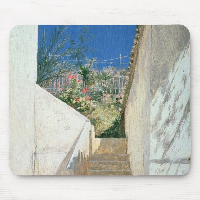 Steps in a Garden, Algeria, 1883 Mouse Mat (Front)