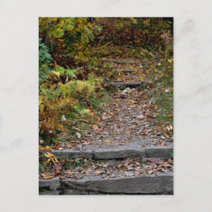 Steps to the Applaachian Trail Postcard