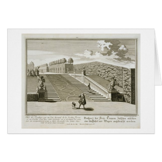 Steps to the garden terrace, Belvedere Palace, Vie (Front Horizontal)