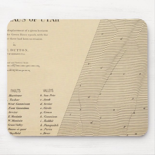 Stereogram of displacements Utah Mouse Mat (Front)