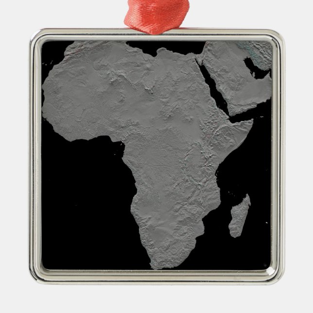 Stereoscopic view of North America Metal Tree Decoration (Front)