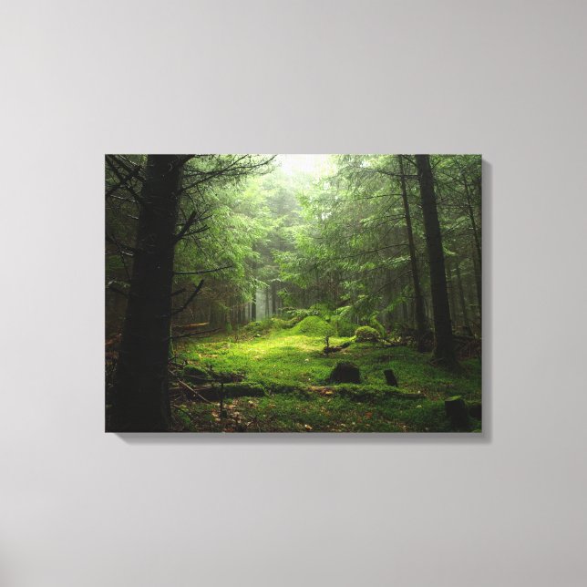 Sterious Forest Canvas Print (Front)