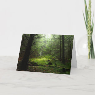 Sterious Forest Card