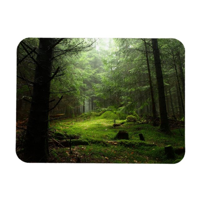Sterious Forest Magnet (Horizontal)