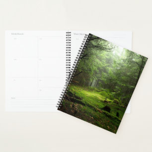 Sterious Forest Planner