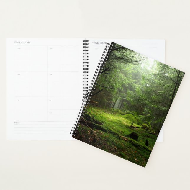 Sterious Forest Planner (Display)