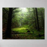 Sterious Forest