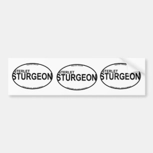 Sterlet Sturgeon Euro Stickers