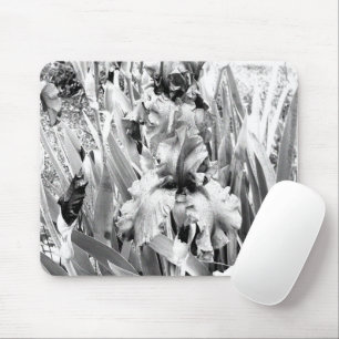 Sterling Irises.... Mouse Mat