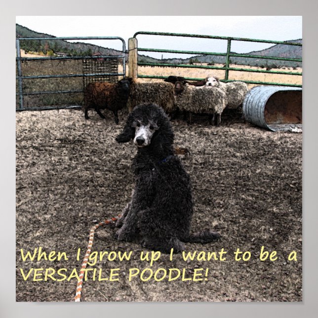 Sterling Poster (Front)