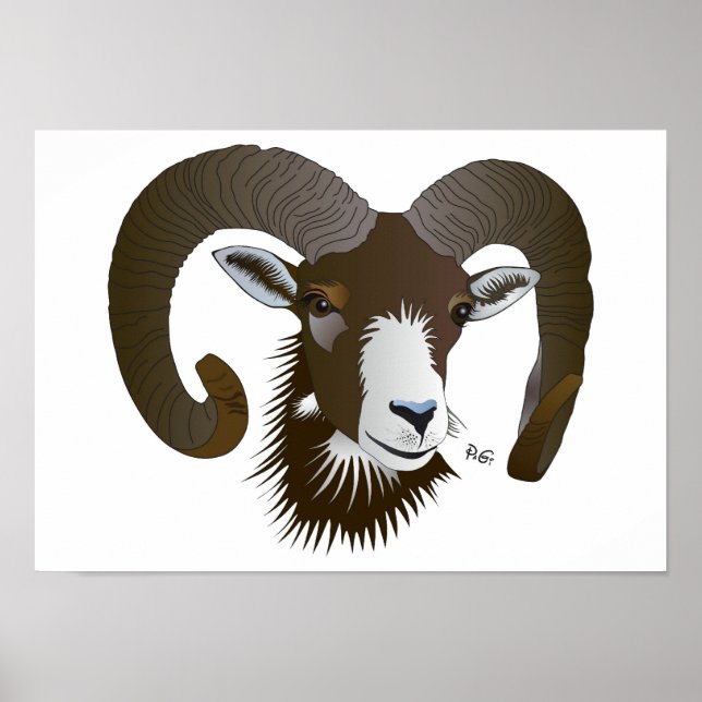 Sternzeichen - Widder Poster (Front)