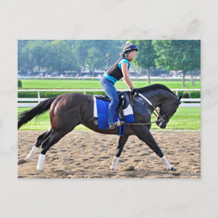 Steve Asmussen Workouts at Saratoga Postcard
