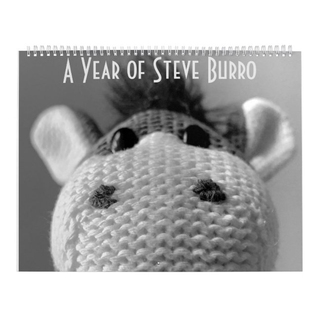 Steve Burro Calendar (Cover)